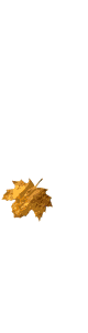 Falling Leaves
