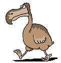 Dodo bird dolt dork