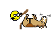beating a dead horse