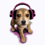 Puppy with Headphones